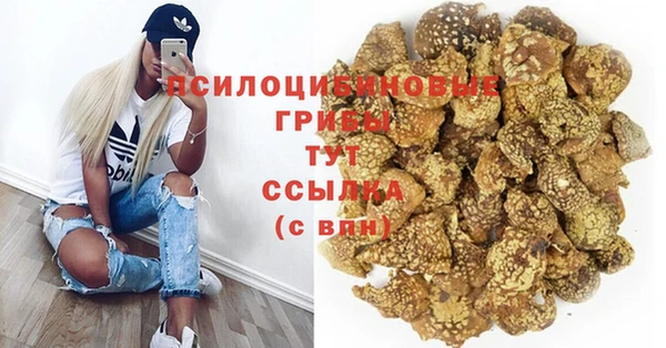 гидра Баксан